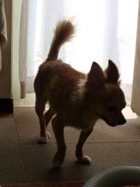 P1120814-1.jpg