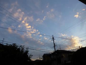 P1150408-1.jpg