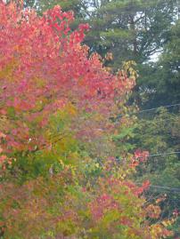 P1170740-1.jpg