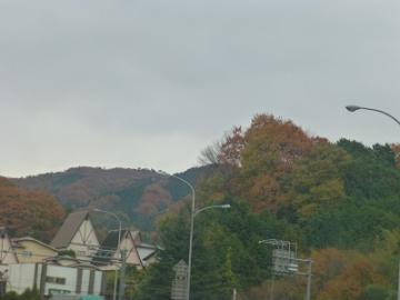 P1190248-1.jpg