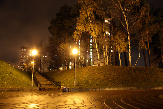 midnightpark.jpg