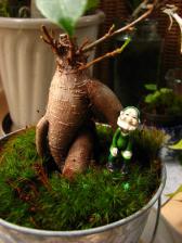 IMG_1626_20130318104914.jpg