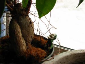 IMG_5022.jpg