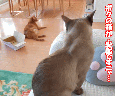 12-10-28-13.gif