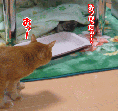 13-1-8-4.gif