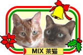 にほんブログ村 猫ブログ MIX茶猫へ