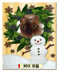 にほんブログ村 猫ブログ MIX茶猫へ