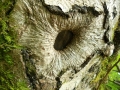 DSCN0028.jpg