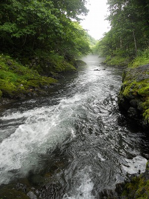 DSCN0083.jpg