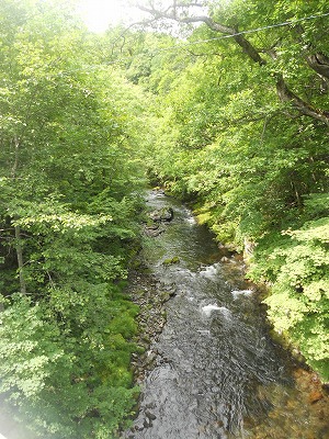 DSCN0087.jpg