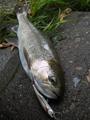 DSCN0139.jpg