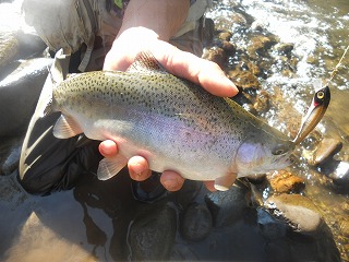 DSCN0160.jpg