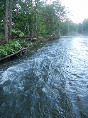 DSCN0166.jpg