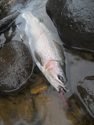 DSCN0198.jpg