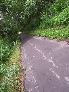 R0010717.jpg