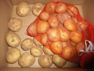DSCF2508.jpg