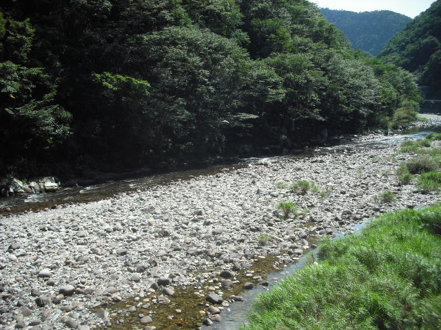 DSCF2635.jpg