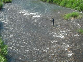 DSCF2663.jpg