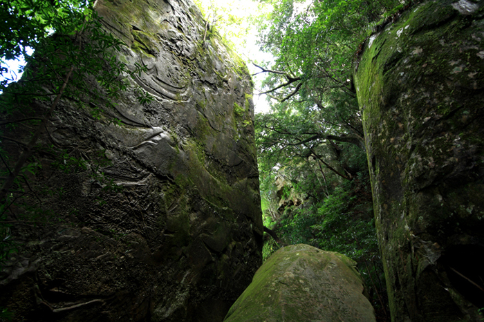 20110910_06.jpg