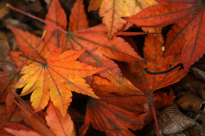 20111123_02.jpg