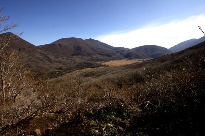 20111130_02.jpg
