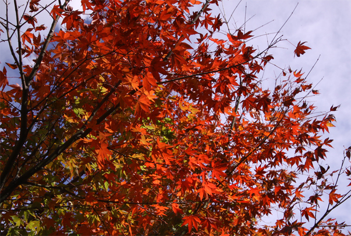 20111204_02.jpg