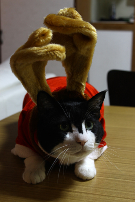 20111224_03.jpg