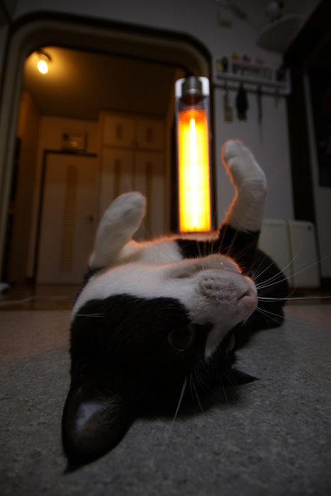 20111227_02.jpg