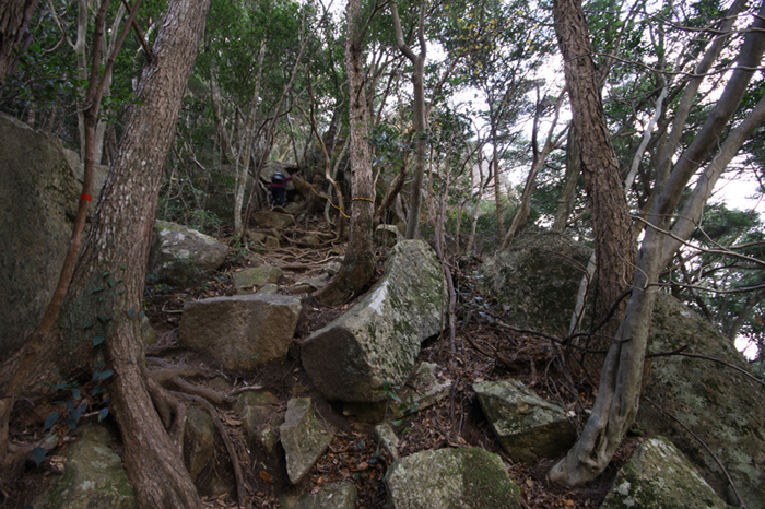 20111229_02.jpg