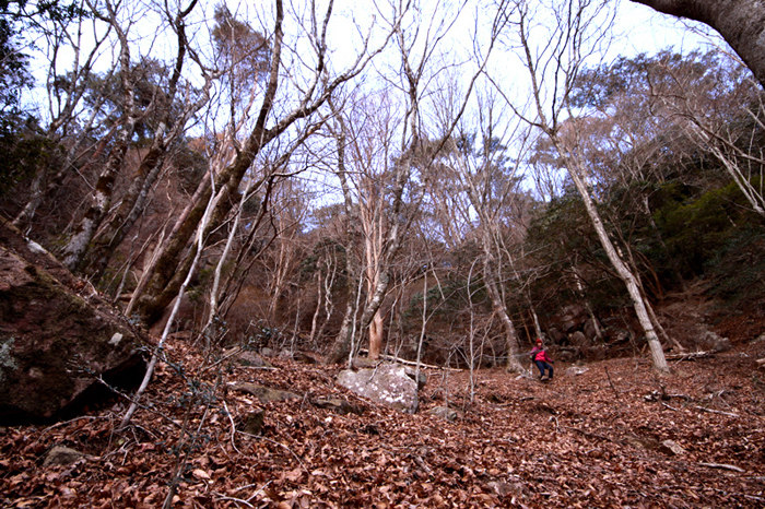 20120221_02.jpg