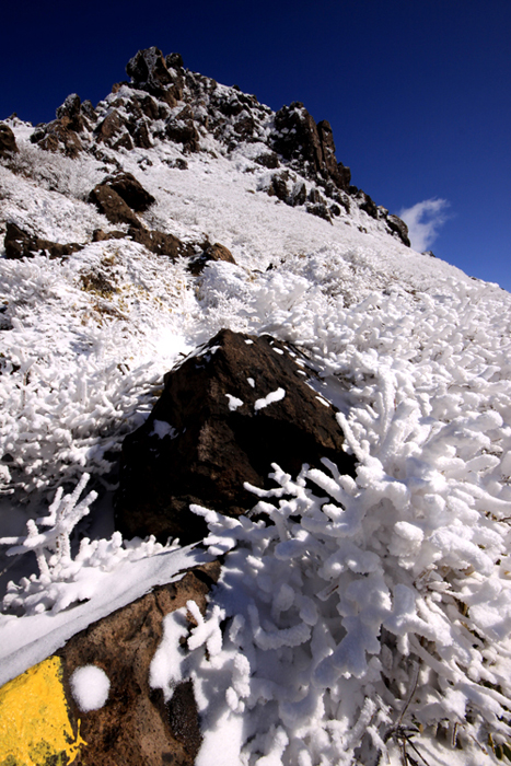 20120225_02.jpg