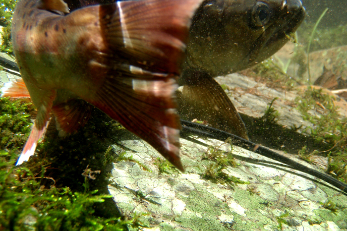 20120304_02.jpg