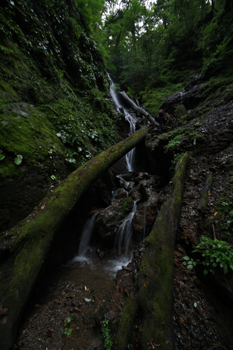 20120826_01.jpg