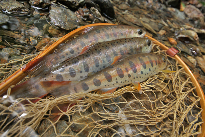 20120828_01.jpg