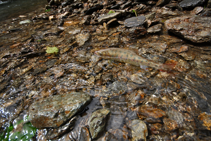 20120904_01.jpg