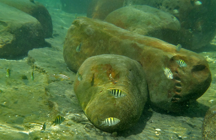 20120910_01.jpg