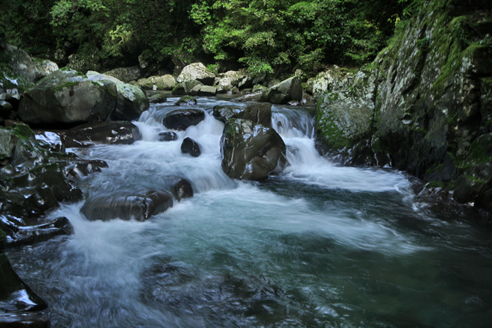 20120911_02.jpg