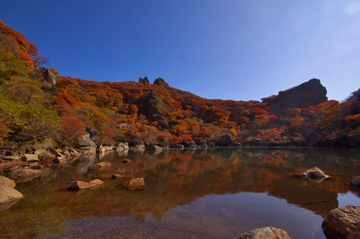 20121022_01.jpg