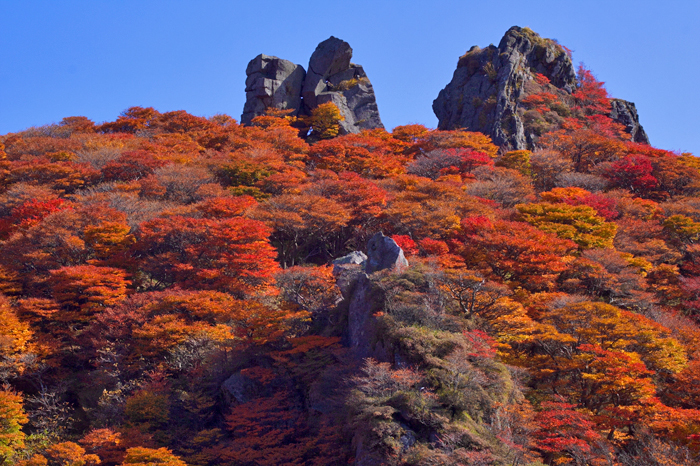 20121022_02.jpg