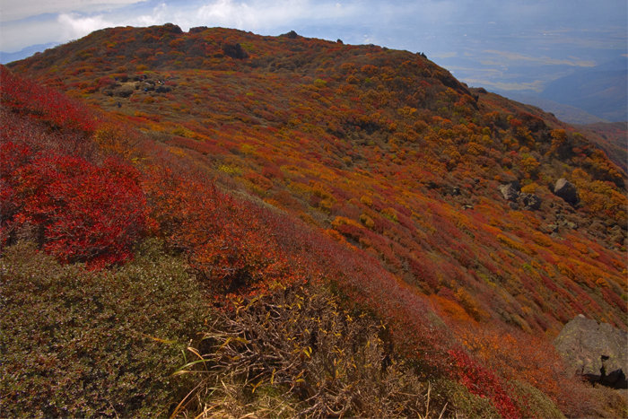 20121023_02.jpg
