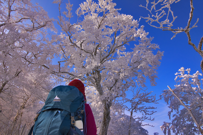 20130104_01.jpg
