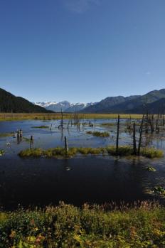 11Alaska_Railroad_09.jpg