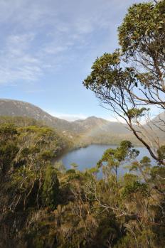 11Tasmania_38.jpg