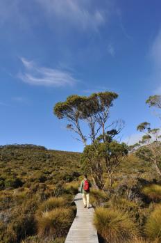 11Tasmania_47.jpg