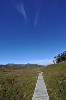 11Tasmania_49.jpg