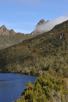 11Tasmania_50.jpg