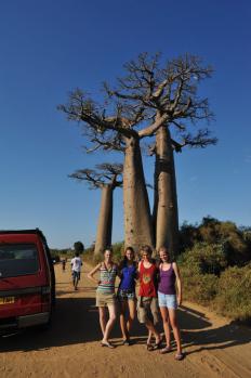 12Baobab_06.jpg