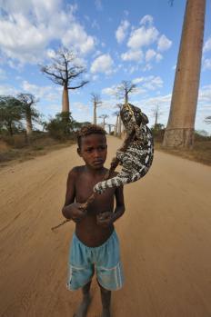 12Baobab_31.jpg
