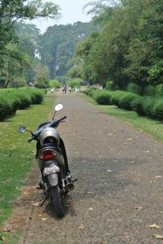 12Jakarta_10.jpg