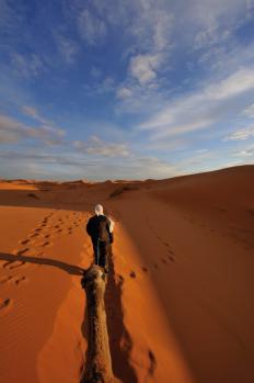 12Merzouga_05.jpg